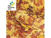 thmb-tropical-vitality-color-7008.png